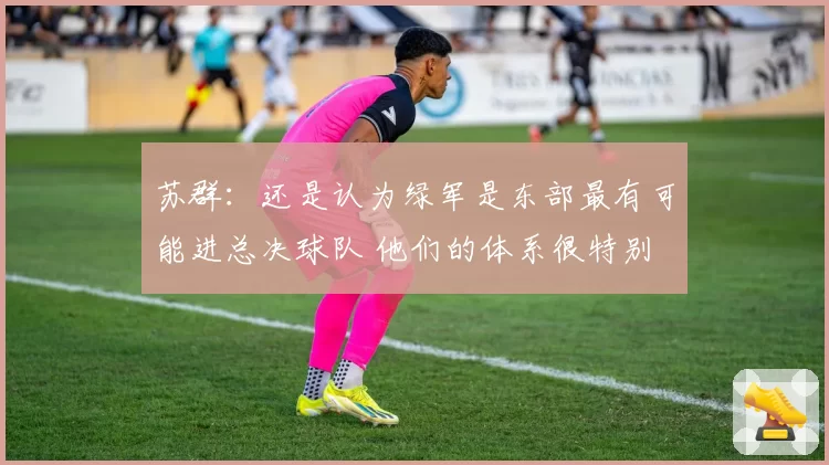苏群:还是认为绿军是东部最有可能进总决球队 他们的体系很特别