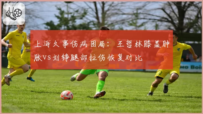 上海久事伤病困局：王哲林膝盖肿胀vs刘铮腿部拉伤恢复对比