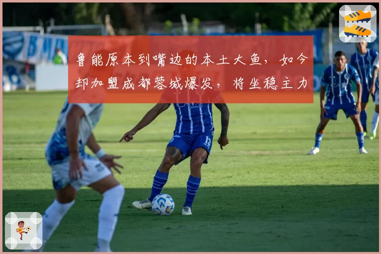 鲁能原本到嘴边的本土大鱼,如今却加盟成都蓉城爆发,将坐稳主力