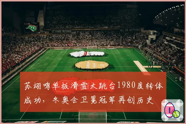 苏翊鸣单板滑雪大跳台1980度转体成功，冬奥会卫冕冠军再创历史