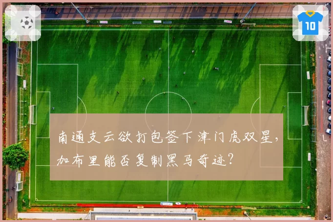 南通支云欲打包签下津门虎双星,加布里能否复制黑马奇迹?